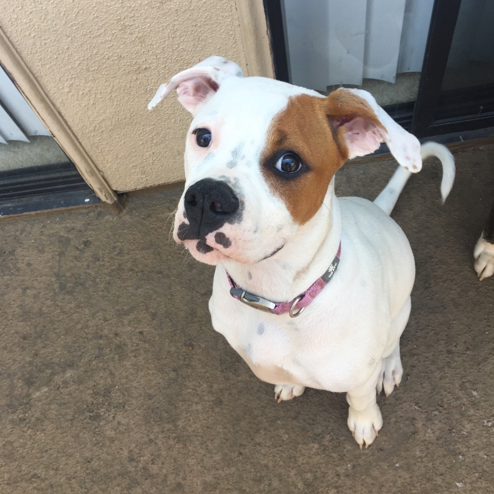 Meet your Posher, Gia